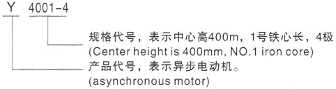 西安泰富西玛Y系列(H355-1000)高压YJTG-355M4-8A/160KW三相异步电机型号说明