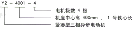 YR系列(H355-1000)高压YJTG-355M4-8A/160KW三相异步电机西安西玛电机型号说明